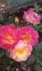20160613_040323