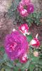 20160613_040318