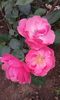 20160613_040216