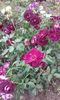 20160613_040050