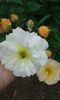 20160613_035904