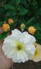20160613_035900