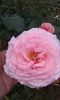 20160613_035809