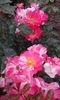 20160613_035414