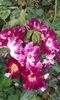 20160613_035320