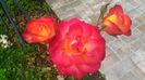 P_20160613_124052[1]