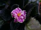 20160611_095406