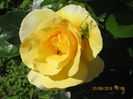 Picture 6260