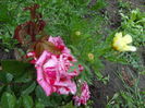Deep Impression