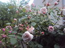 DSC01943