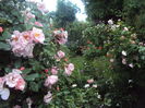 DSC01947