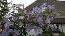 WP_20160612_089