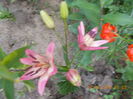 DSCN2927