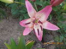 DSCN2928