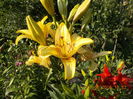 DSCN2875