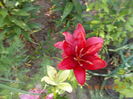 DSCN2923