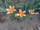 DSCN2905