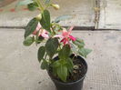 DSCN0078[1]