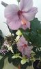 20160614_170748