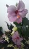20160614_170730