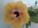 20160614_155309