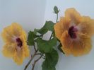 20160614_155324