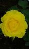 20160614_085258[1]