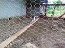 IMG_20160614_193923