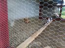 IMG_20160614_193927