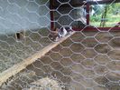 IMG_20160614_193931