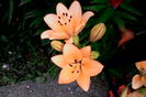 IMG_20160614_074534