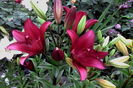 IMG_20160614_074418