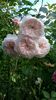 WP_20160614_005