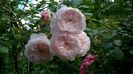 WP_20160614_007