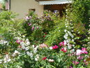9 iun (163)