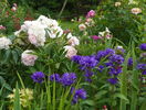 Sarah Bernhardt