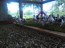 IMG_20160615_163731