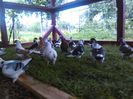IMG_20160615_163734