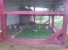 IMG_20160615_164011