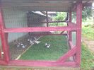 IMG_20160615_164031