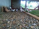 IMG_20160615_164045