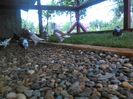 IMG_20160615_164048