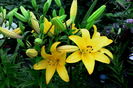 IMG_20160615_211018