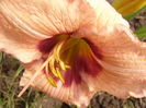 P1290135