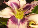 P1290141
