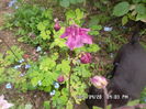 SAM_0333