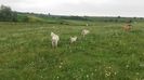 IMG-20160613-WA0001