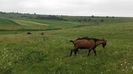 IMG-20160613-WA0012