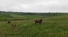IMG-20160613-WA0013