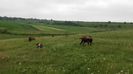 IMG-20160613-WA0014